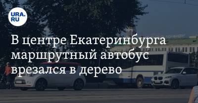 В центре Екатеринбурга маршрутный автобус врезался в дерево. ФОТО