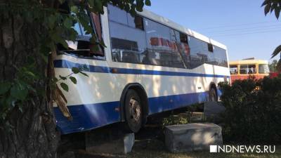 В центре Екатеринбурга автобус с пассажирами вылетел с дороги и врезался в дерево (ФОТО)