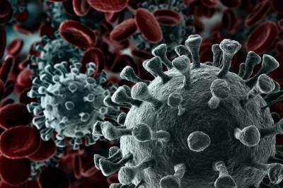 Иммунолог Крючков о коронавирусе: «Изменение свойств вируса – это нормально»