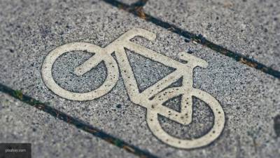 Более 50-ти новых велодорожек появится в Рязани к 2032 году
