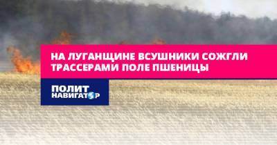 На Луганщине ВСУшники сожгли трассерами поле пшеницы
