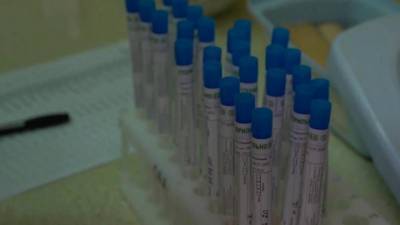 Начался новый этап тестирования отечественной вакцины от коронавируса