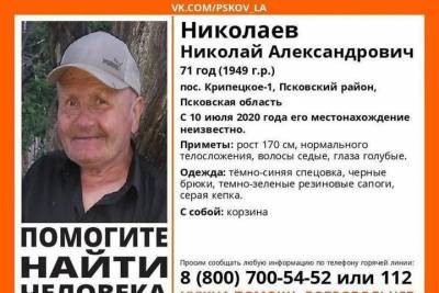 Грибник-пенсионер пропал в Псковском районе
