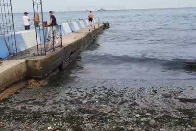 Опубликовано видео пляжей с нечистотами в Крыму: «Черные воды Черного моря»