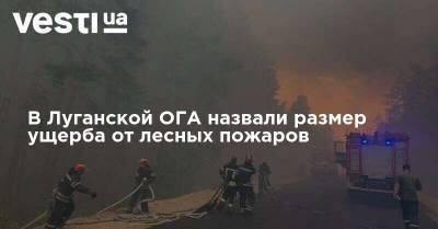 В Луганской ОГА назвали размер ущерба от лесных пожаров
