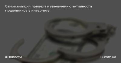 Виталий Вехов - Самоизоляция привела к увеличению активности мошенников в интернете - 1k.com.ua - Россия