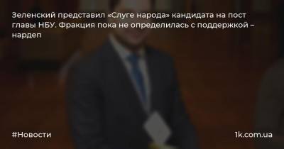 Зеленский представил «Слуге народа» кандидата на пост главы НБУ. Фракция пока не определилась с поддержкой – нардеп