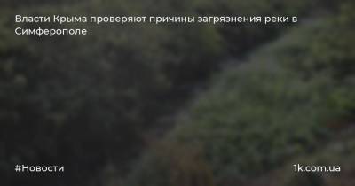 Власти Крыма проверяют причины загрязнения реки в Симферополе