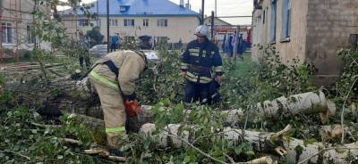 Из-за урагана в Первомайске и окрестностях остались без электричества более 350 домов