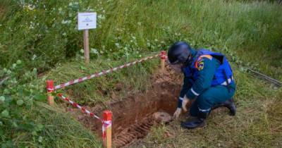 Под Тверью обнаружили останки семи красноармейцев