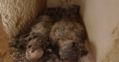 В поисках Клеопатры: в Египте нашли мумии подданных царицы