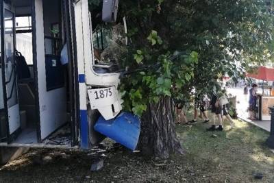 В центре Екатеринбурга пассажирский автобус врезался в дерево