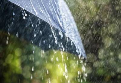 Погода на 14 июля: на левобережье дожди с грозами