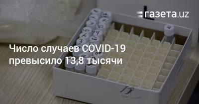 Число случаев COVID-19 превысило 13,8 тысячи