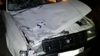В Кузбассе пьяный водитель без прав насмерть сбил 2 пешеходов