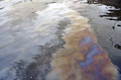 В Комсомольском районе Хабаровского края нефтепродукты после разлива топлива попали в озеро Голое