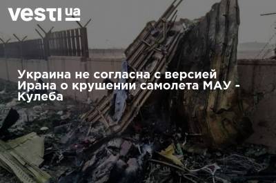 Украина не согласна с версией Ирана о крушении самолета МАУ - Кулеба