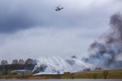 В России за сутки потушили 74 лесных пожара