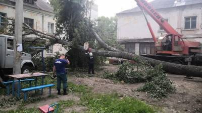 Ураган повалил деревья в Ульяновске