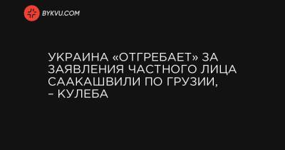 Украина «отгребает» за заявления частного лица Саакашвили по Грузии, – Кулеба