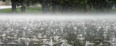 В Волгоградской области ожидаются сильные дожди до 15 июля