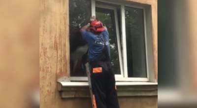 "Он кричал от боли": спасатели с лестницами окружили жилой дом в Ярославле