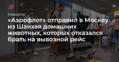«Аэрофлот» отправил в Москву из Шанхая домашних животных, которых отказался брать на вывозной рейс