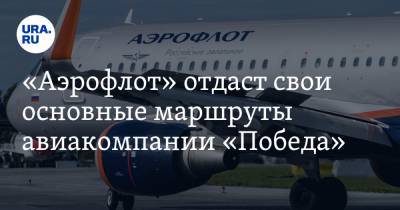 «Аэрофлот» отдаст свои основные маршруты авиакомпании «Победа»