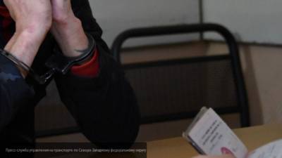 Тульские правоохранители задержали троих экстремистов "Союза славянских сил Руси"