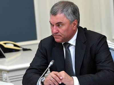 Володин: За призывы «вернуть Крым» украинских политиков привлекут к наказанию в РФ