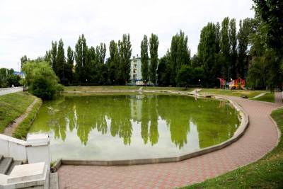 В Воронеже продолжается очистка водоема в сквере «У озера»