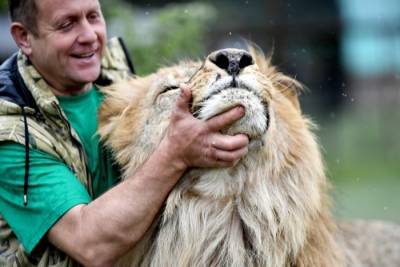 Владелец "Тайгана" оштрафован на 400 тыс. руб. за искусанную львом туристку