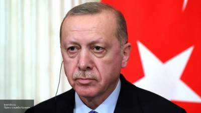 Турция подписала соглашения с рядом стран об экстрадиции политических диссидентов