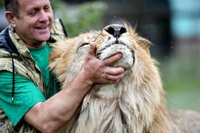 Суд оштрафовал владельца сафари-парка в Крыму за нападение льва на туриста