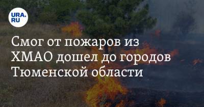 Смог от пожаров из ХМАО дошел до городов Тюменской области