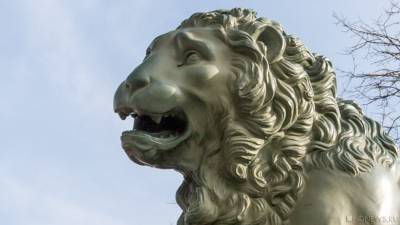 В Крыму вынесли приговор по делу о нападении льва на туристку