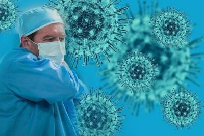 Региональные парламентарии одобрили создание Псковской инфекционной больницы
