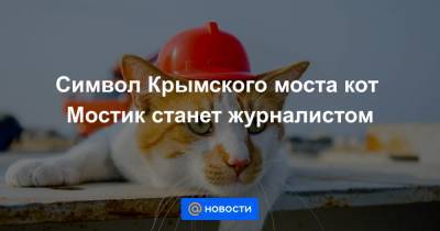 Символ Крымского моста кот Мостик станет журналистом