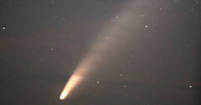 До конца июля жители Алтая смогут увидеть в небе яркую комету NEOWISE