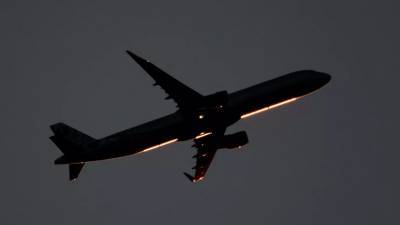 Эксперт прокомментировал сообщения о вынужденной посадке летевшего в Москву самолёта