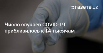 Число случаев COVID-19 приблизилось к 14 тысячам