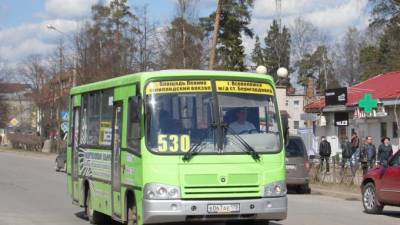 Автобус № 530 между Всеволожском и Петербургом возобновит услуги льготного проезда