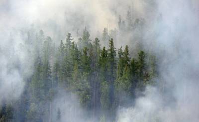 Aftonbladet (Швеция): химический дождь — новое оружие против лесных пожаров в Сибири