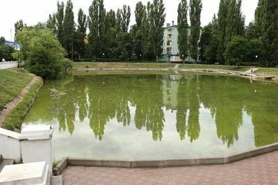 В Воронеже начали чистить озеро на Минской