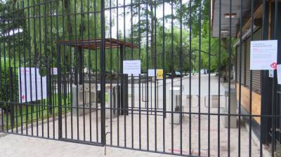Воронежский зоопарк закрыл бесплатный вход в парк Авиастроителей