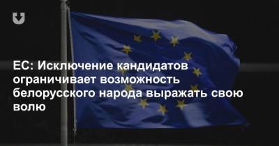ЕС: Отказ в регистрации кандидатов ограничивает возможность белорусского народа выражать свою волю