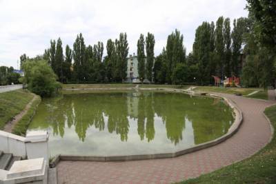 Лебединое озеро в Воронеже осушат и лишат живущих там черепах