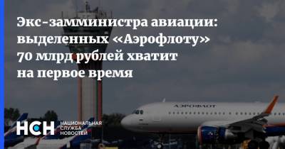 Экс-замминистра авиации: выделенных «Аэрофлоту» 70 млрд рублей хватит на первое время
