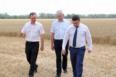 В Краснодарском крае собрано уже более 7,7 млн тонн зерна