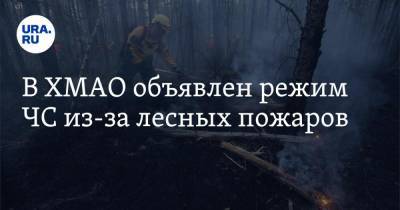В ХМАО объявлен режим ЧС из-за лесных пожаров